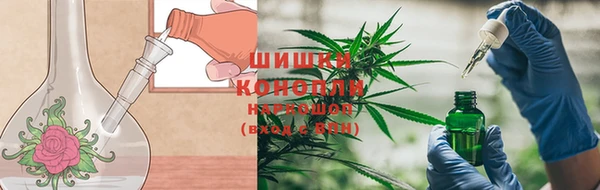 эйфоретик Иннополис