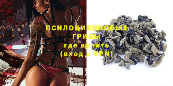 прущая мука Инсар