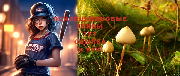 спайс Инта