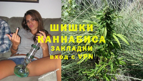 спайс Инта