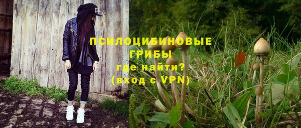 эйфоретик Иннополис