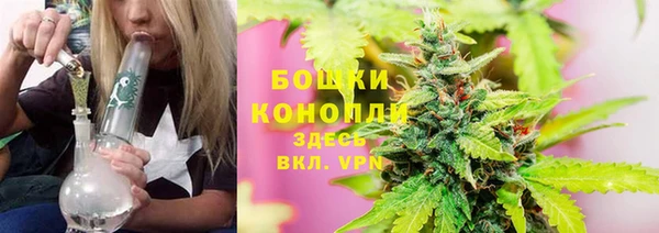 спайс Инта