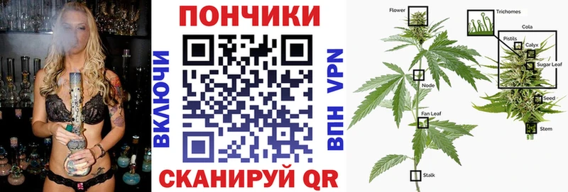 Бошки марихуана марихуана Тбилисская